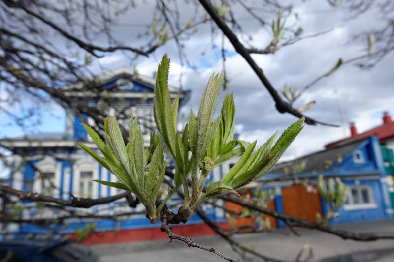 Город Городец Город Городец
