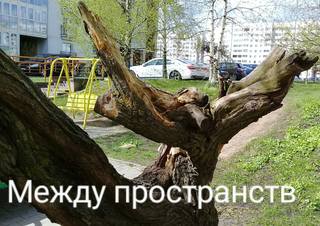 http://images.vfl.ru/ii/1620623149/2d3b9657/34393474_m.jpg