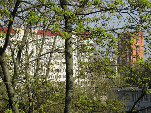 VFL.RU - ваш фотохостинг VFL.RU - ваш фотохостинг