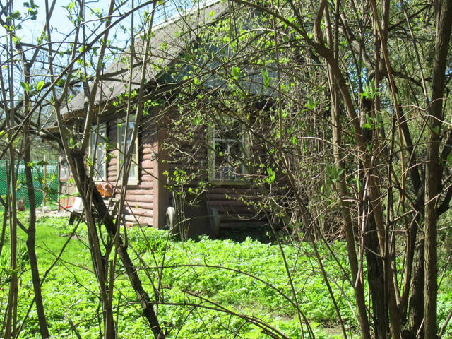 VFL.RU - ваш фотохостинг VFL.RU - ваш фотохостинг