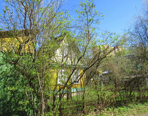 VFL.RU - ваш фотохостинг VFL.RU - ваш фотохостинг