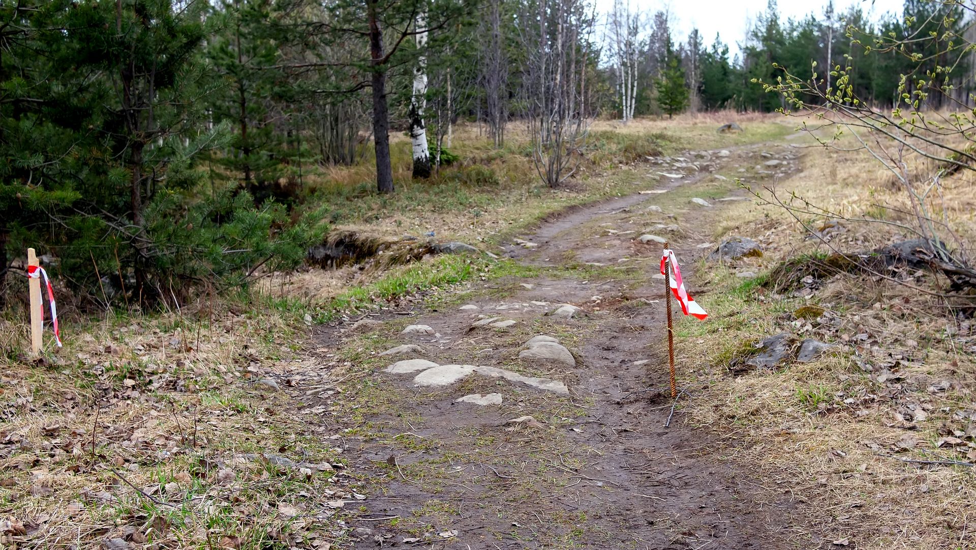 "Каменный Бор", "тропа здоровья"