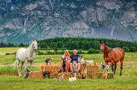 фотограф Таша Холл1