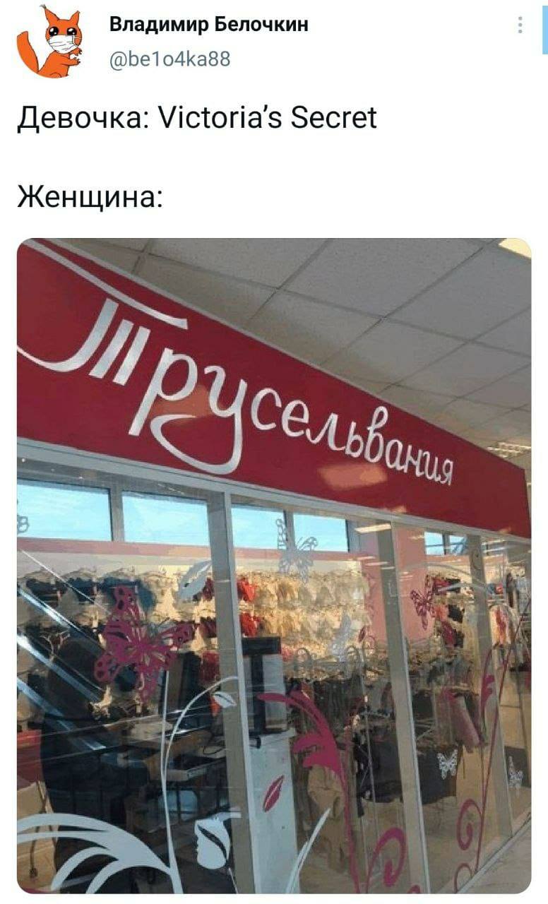 34511782.jpg