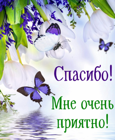 http://images.vfl.ru/ii/1621834188/1fcc9f0f/34559698_m.png