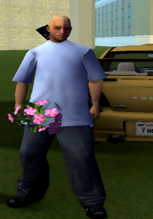 34704050.png