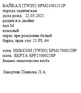 Байкал анк людмила 65