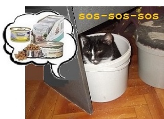 Ведриша один фор - копия