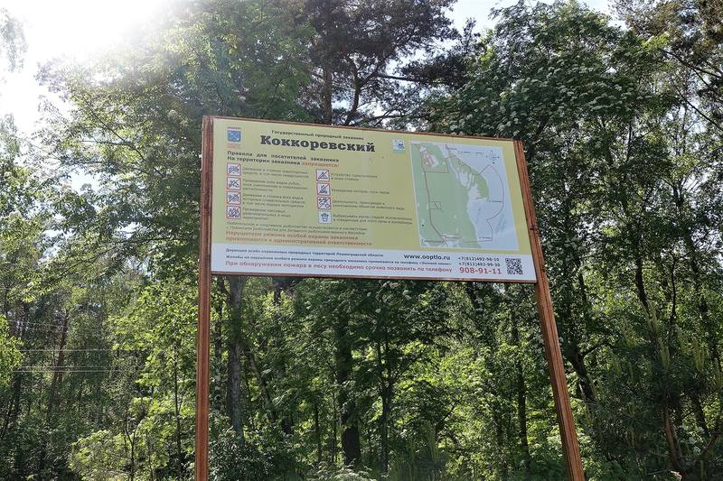 Ладожское озеро, Коккоревский пляж Ладожское озеро, Коккоревский пляж