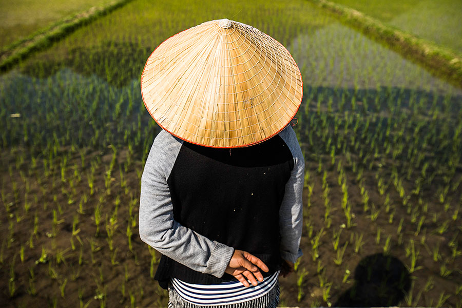 conical-hat-vietnam-rehahn-photograph5