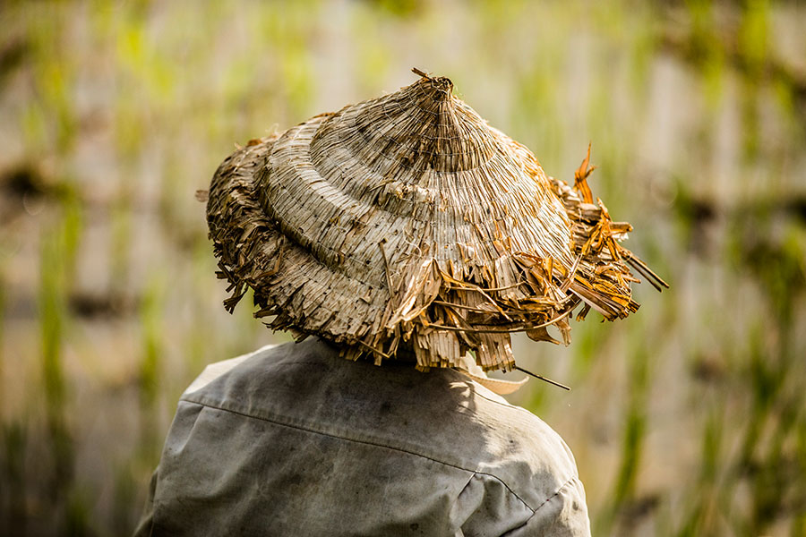 conical-hat-vietnam-rehahn-photograph2