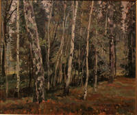 19Дмитриевский Виктор Константинович