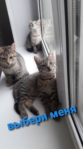 jJWDPsaFrQY jJWDPsaFrQY