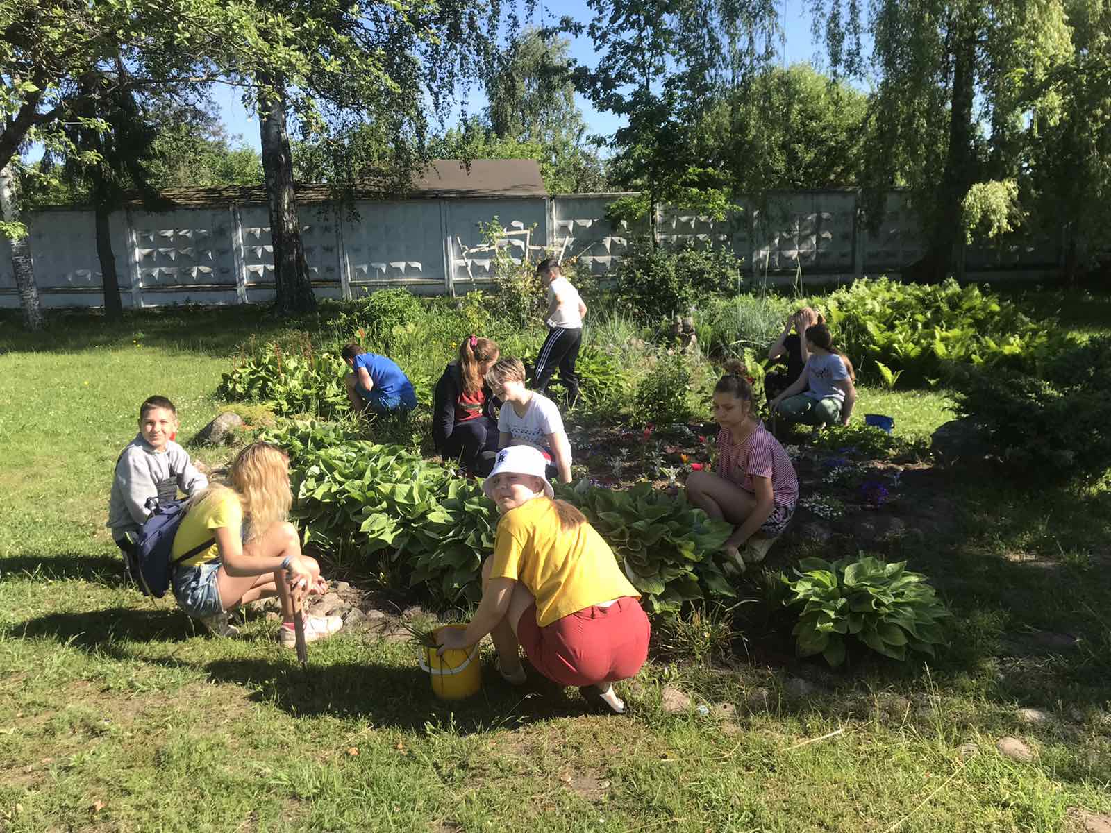 ИРБИС64+ Электронная библиотека БГСХА