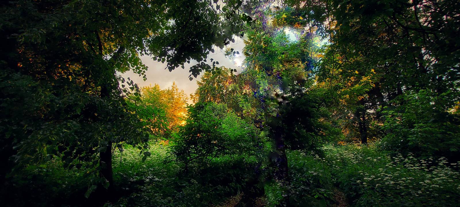 VFL.RU - ваш фотохостинг VFL.RU - ваш фотохостинг