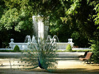 Город Вальядолид16