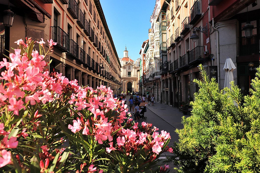 Город Вальядолид21