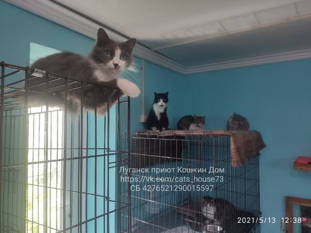 stIWwz3KSQs stIWwz3KSQs