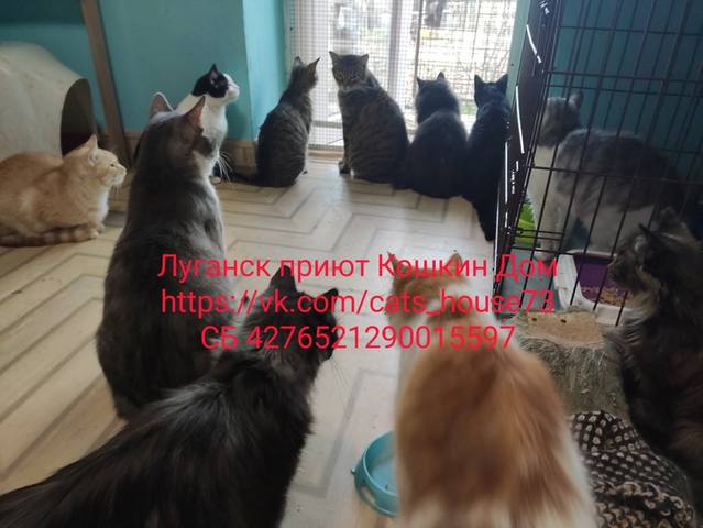 VFL.RU - ваш фотохостинг VFL.RU - ваш фотохостинг