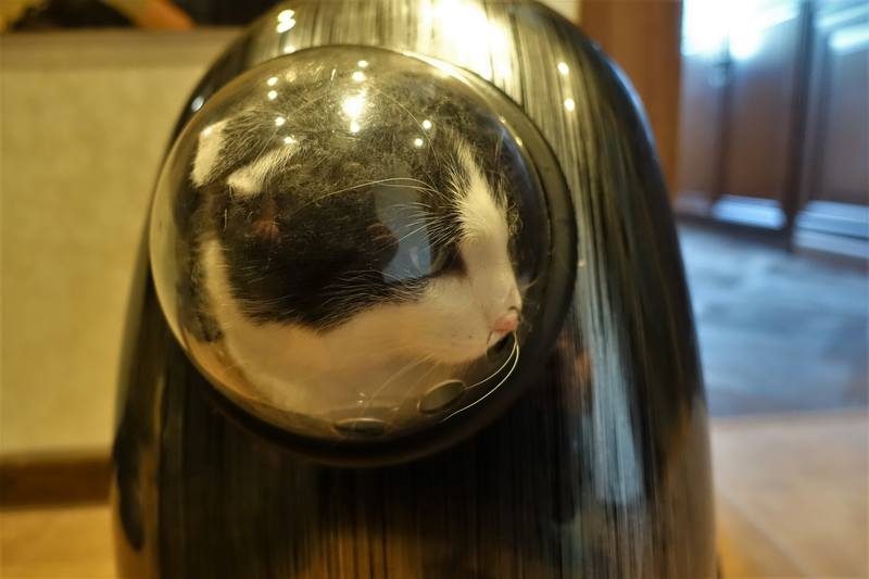 Банный вечер кошечки Фроси Банный вечер кошечки Фроси