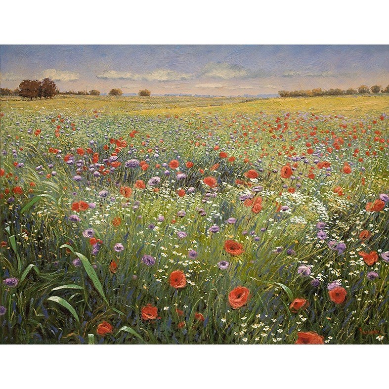 художница Ракель Тараборелли1