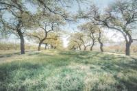 фото Ирен Вайс15