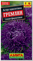 астра гремлин темно-фиолетовая