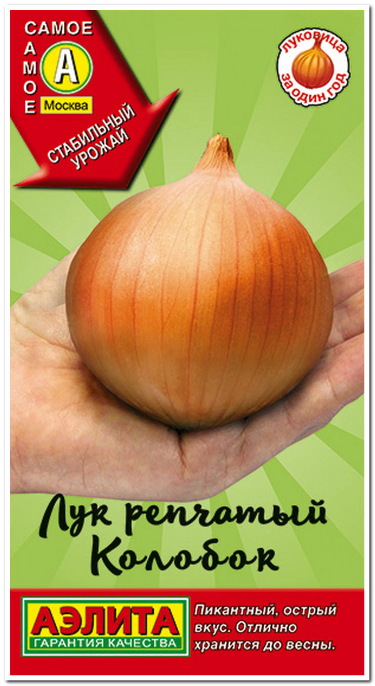лук репчатый колобок