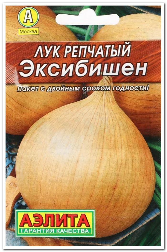 лук репчатый эксибишен