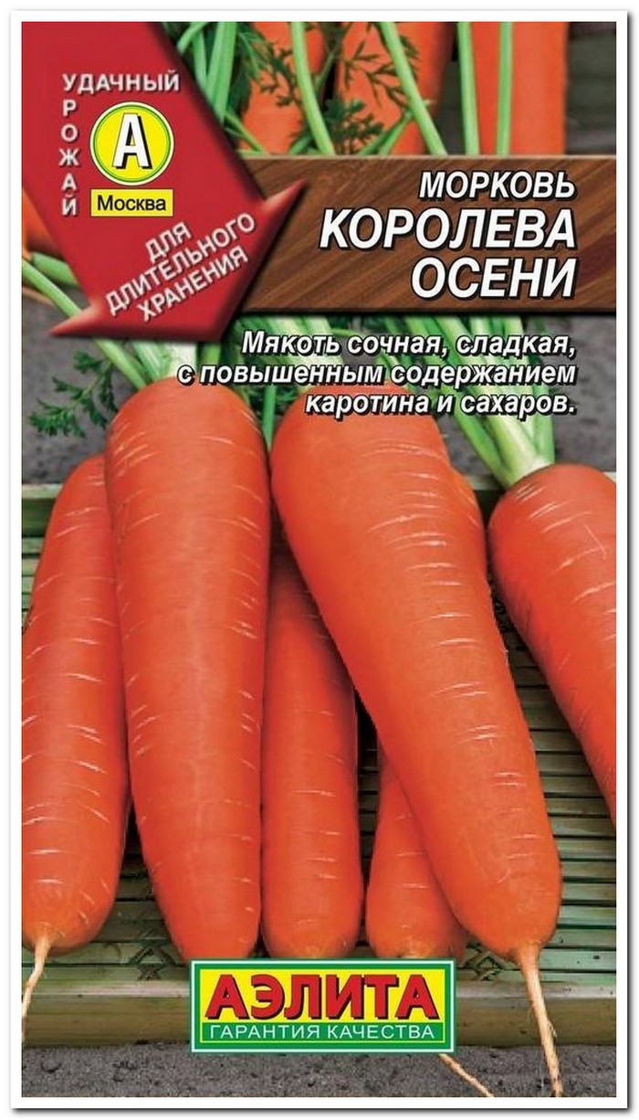 морковь королева осени