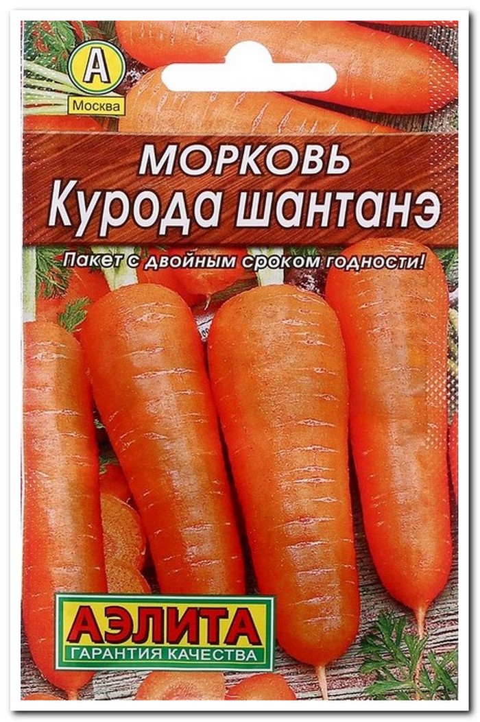 морковь курода шантан
