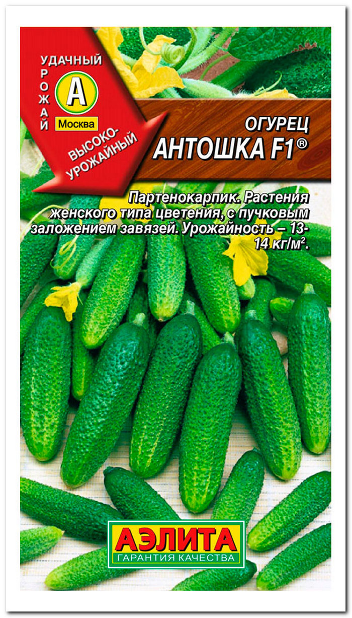 огурец антоша