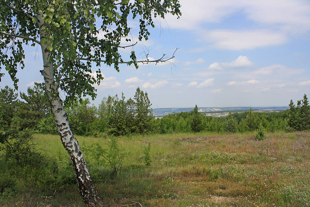 VFL.RU - ваш фотохостинг VFL.RU - ваш фотохостинг