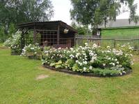 VFL.RU - ваш фотохостинг