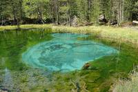 Другой край Потаённого лесного озера. Фото Морошкина В.В.