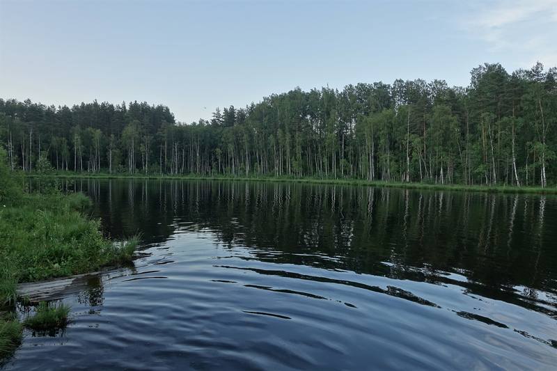 Садоводство Садоводство