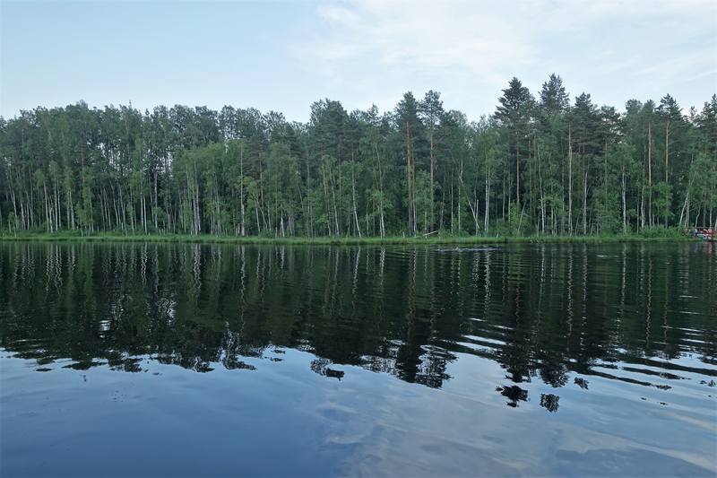 Садоводство Садоводство