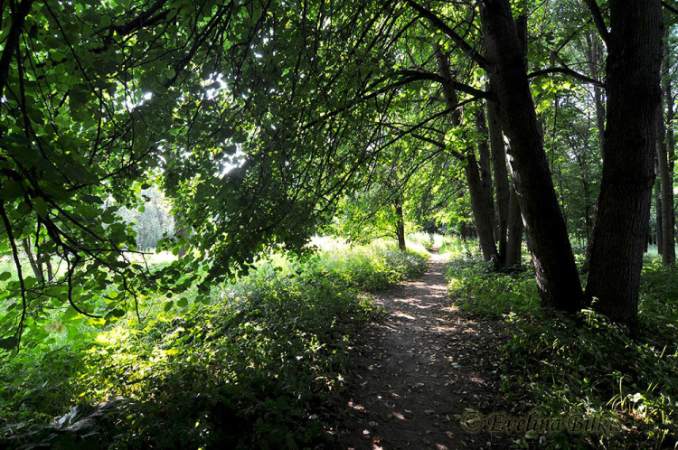 Фото Эвелины Билькис Билькис2