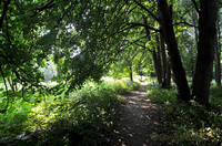 Фото Эвелины Билькис Билькис2