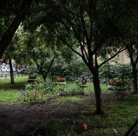 Фото Эвелины Билькис Билькис11