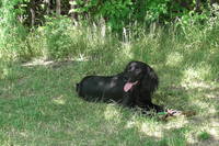 VFL.RU - ваш фотохостинг