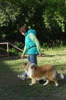 VFL.RU - ваш фотохостинг