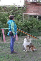 VFL.RU - ваш фотохостинг