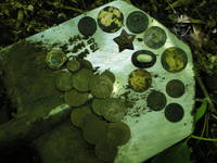 VFL.RU - ваш фотохостинг