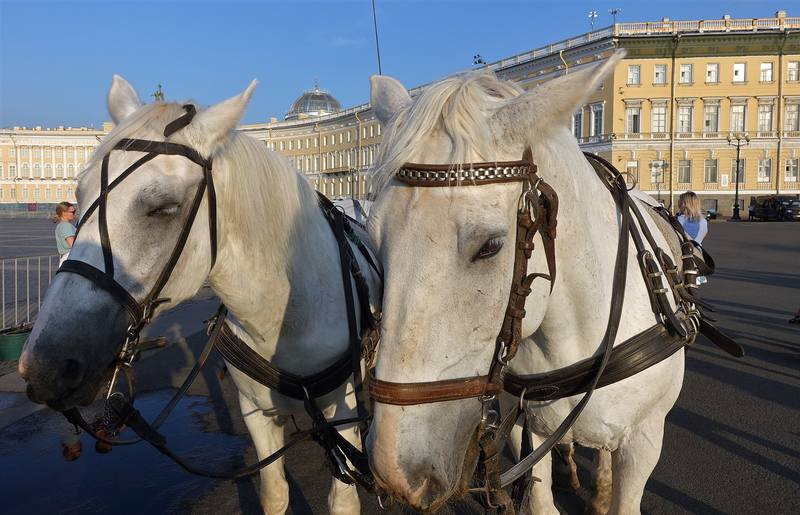 Санкт-Петербург Санкт-Петербург
