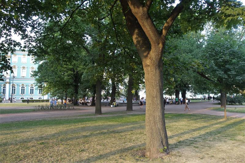 Санкт-Петербург Санкт-Петербург