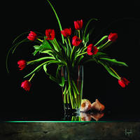 художник Дарио Кампаниле3