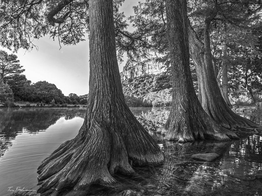 фотогоафТим Фицхаррис10