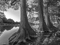 фотогоафТим Фицхаррис10