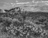 фотогоафТим Фицхаррис16